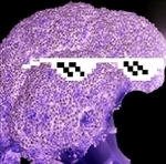 Purgeatory's Avatar