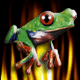 treefrog's Avatar