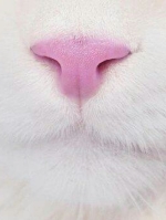 m0nk3y's Avatar