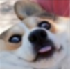 topegam's Avatar