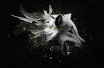 col10862's Avatar