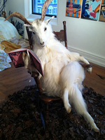 deliorax's Avatar