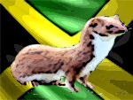 Welease's Avatar