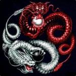Boddhi's Avatar