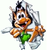 picorette's Avatar