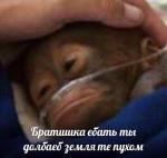 Ilushka's Avatar