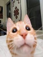 Mathias2222's Avatar