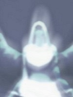 Primialz's Avatar