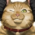 Ferresia's Avatar