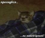 Yelmorra1337's Avatar