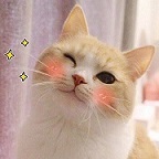 Telmantar's Avatar