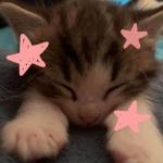 CamwenUwU's Avatar