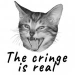 Hollandr's Avatar