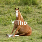 Applecakesz's Avatar
