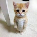 bunyoos's Avatar