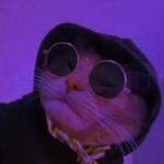 VitanimatOr's Avatar