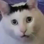 Bigbooty's Avatar