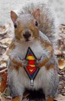 CapsLockSK's Avatar