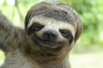 c4ble's Avatar