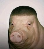 emom's Avatar