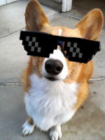 L3371998's Avatar