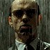 tinywarmaker's Avatar